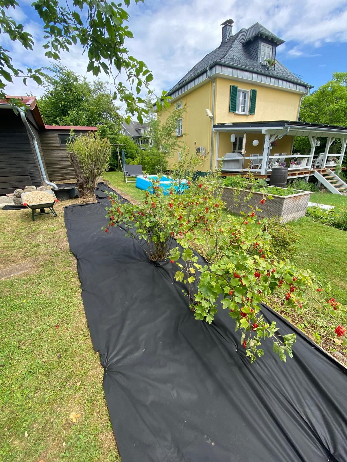 Rasenpflege und Vertikutieren in Aßlar - Adams Garten