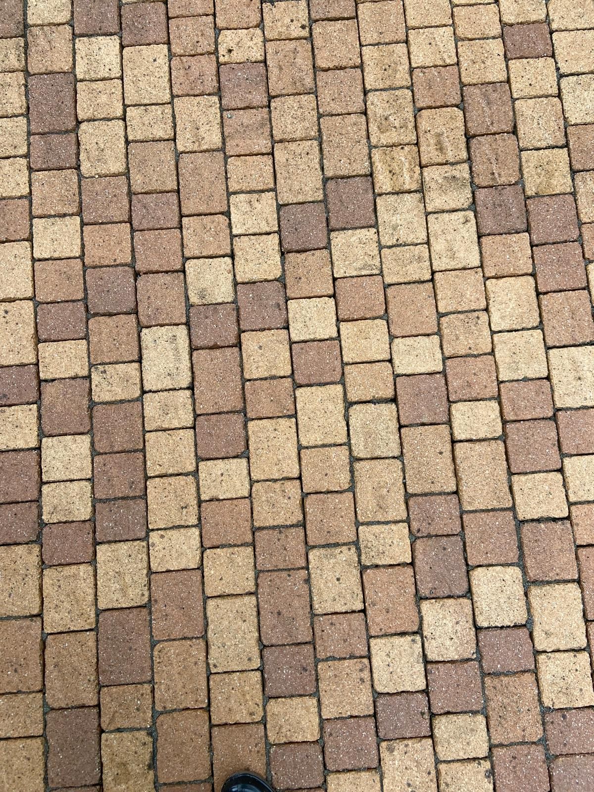Moderne Außenanlagen und Terrassenbau in Herborn - Adams Garten