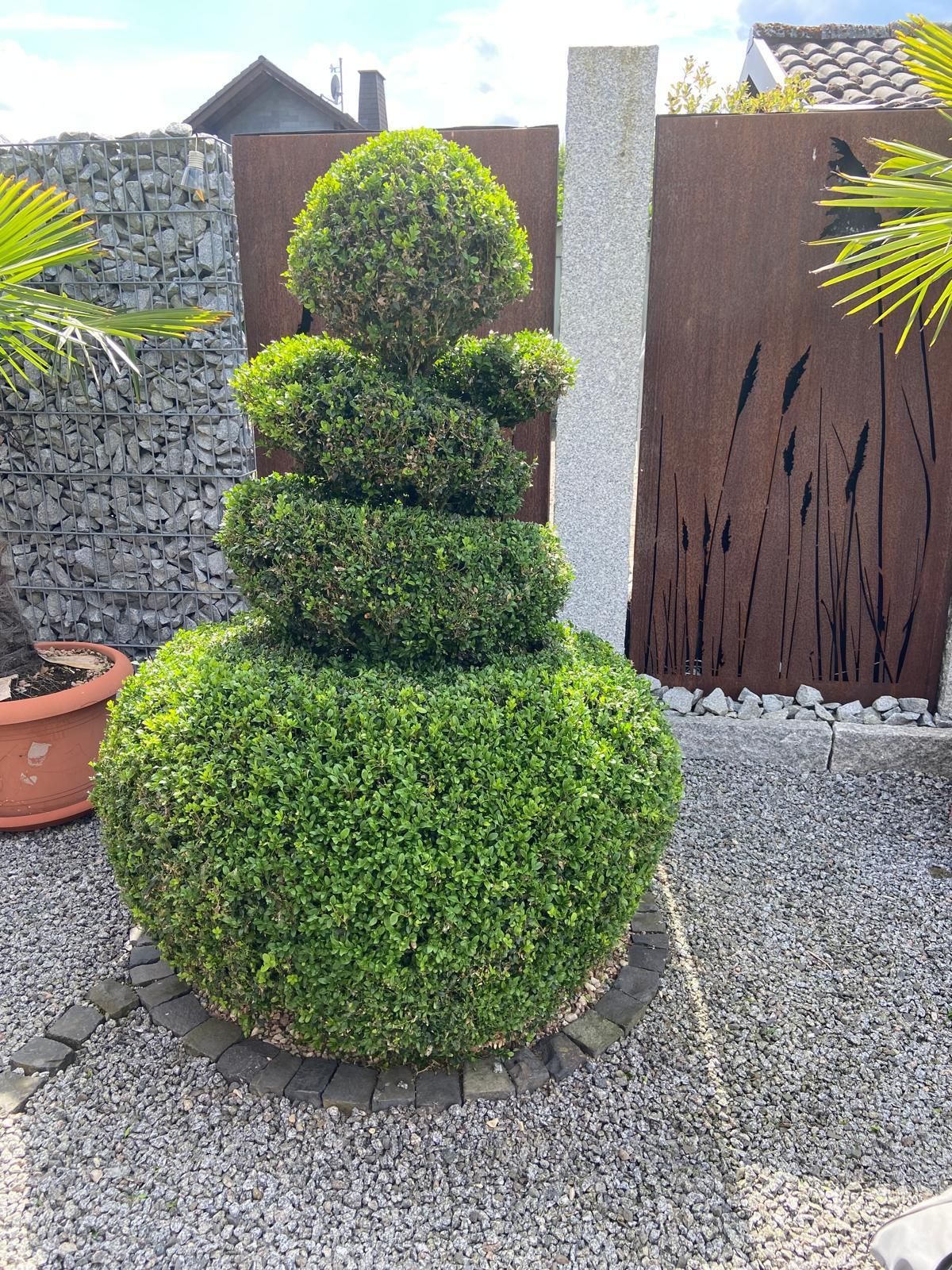 Rasenpflege und Rollrasen verlegen in Dillenburg - Adams Garten