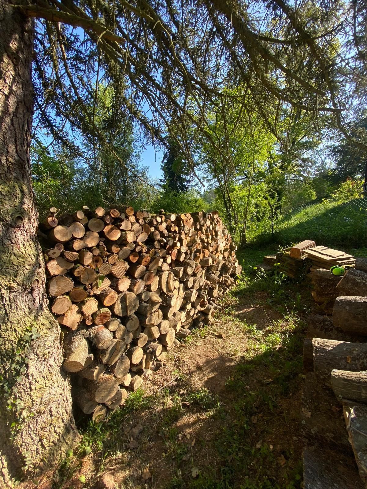Bodenarbeiten und Rasenpflege in Aßlar - Adams Garten