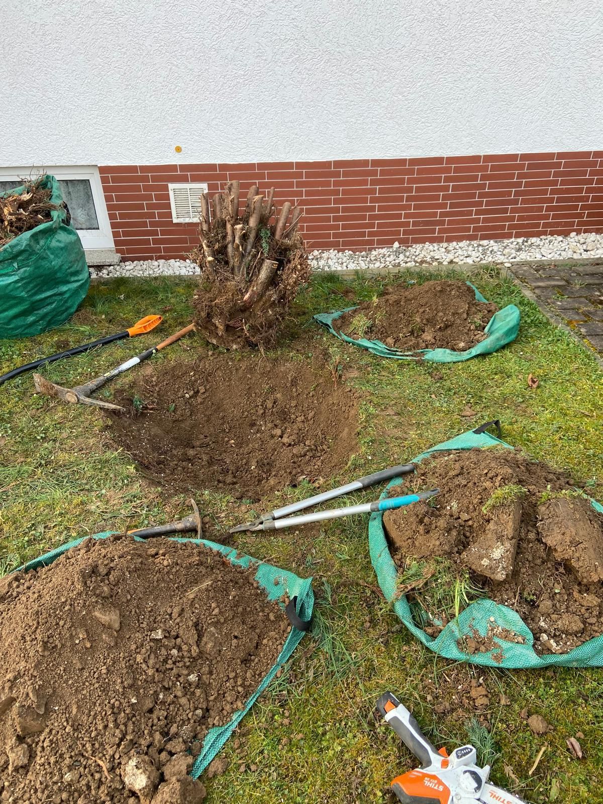 Gartenbau und Neupflanzung in Haiger - Adams Garten