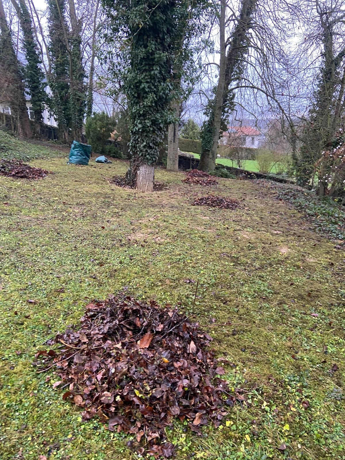 Gartenpflege im Abo - Heckenschnitt, Unkraut- und Laubentsorgung in Ehringshausen